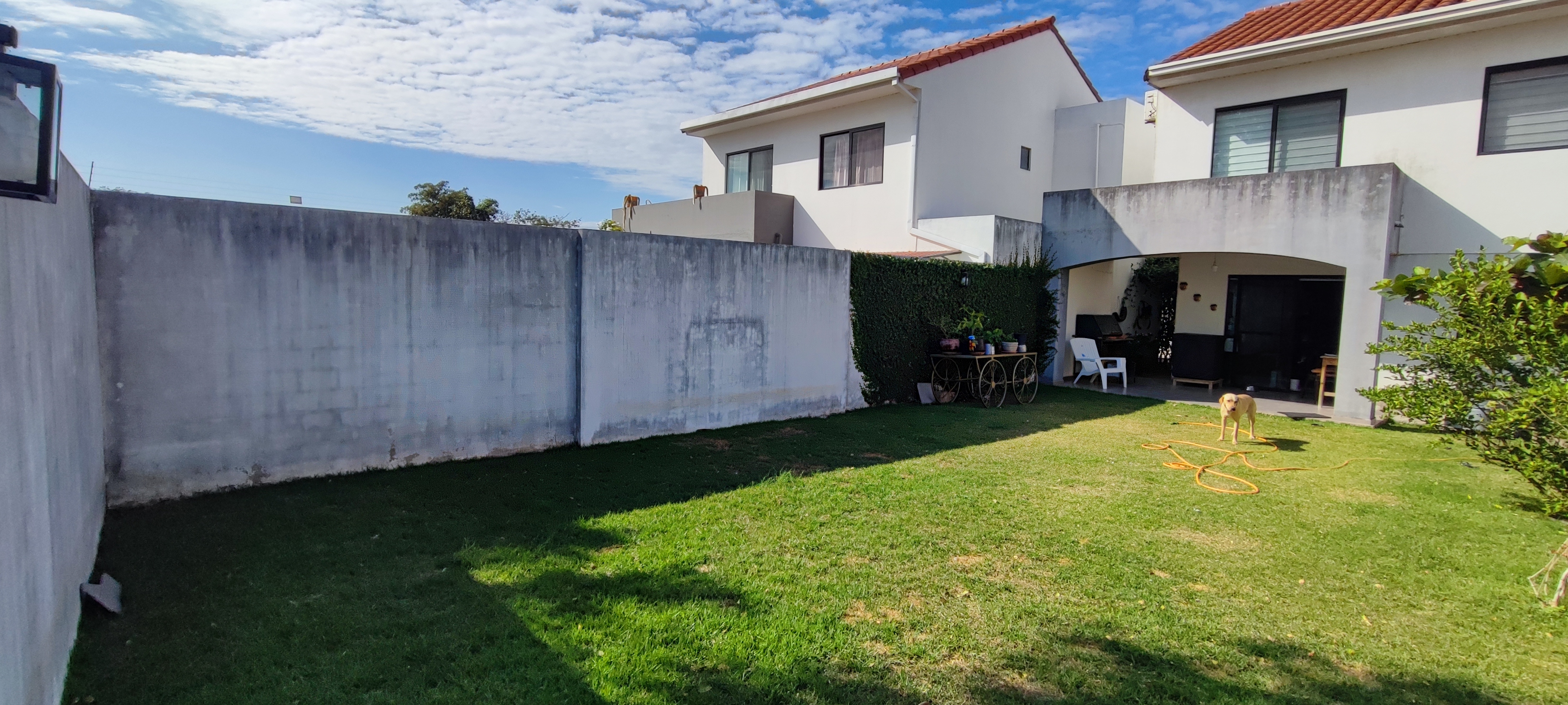 AMPLIACION D. ROJAS - imagen